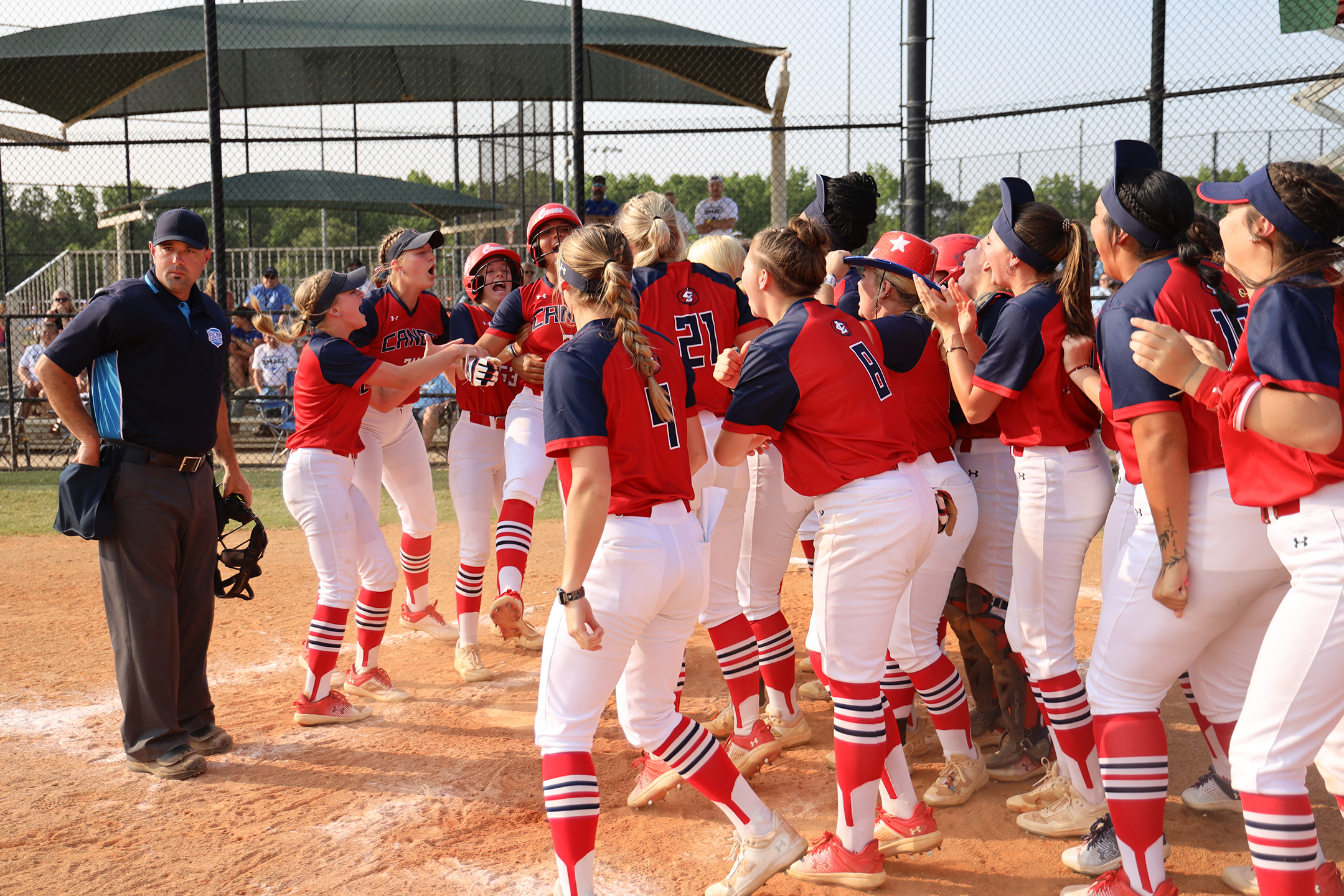 Softball team members returning to dugout after home run.