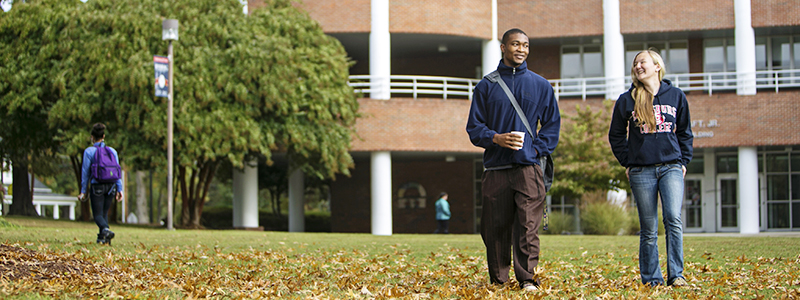 students walking on grass