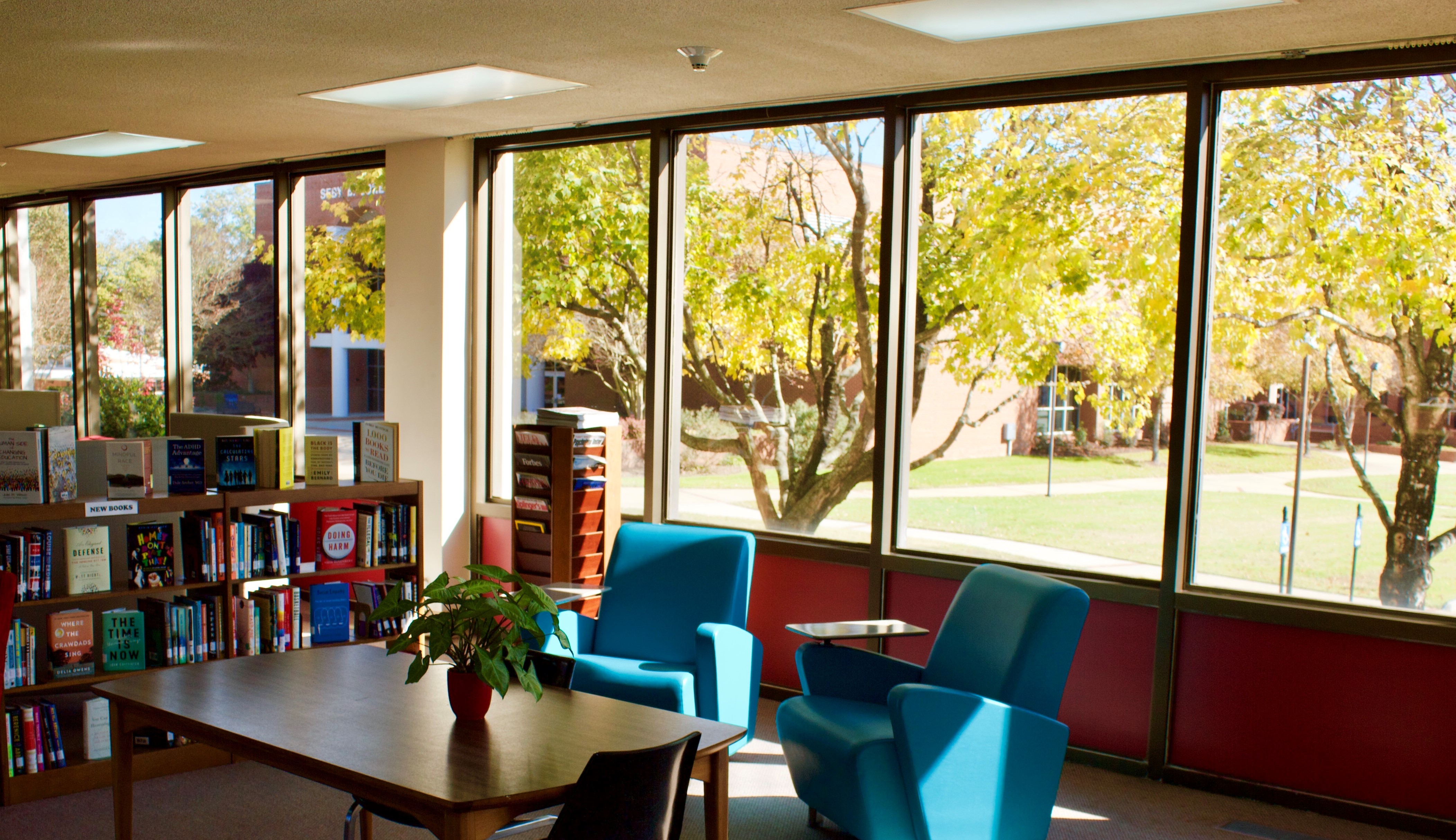 library in Fall library in Fall