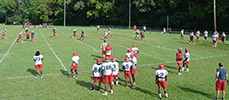 Many football players running around on a grass field while coaches and other players stand to the side and watch.