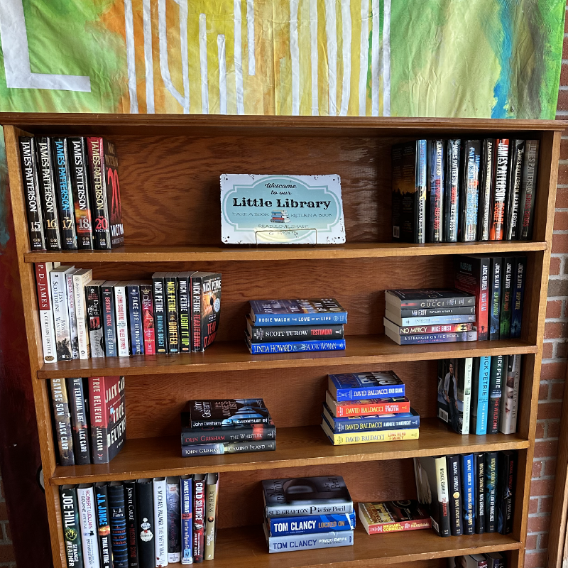 Little Library Shelf